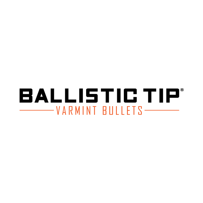 NOSLER Ballistic Tip® Varmint Palle per Carabina *Gruppo