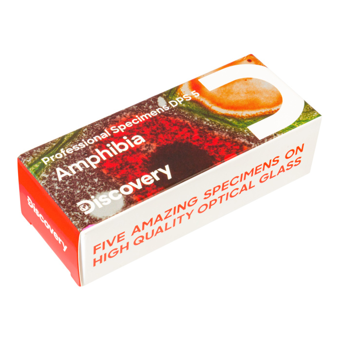 Set di micropreparati Discovery Prof DPS 5. “Mondo anfibio”