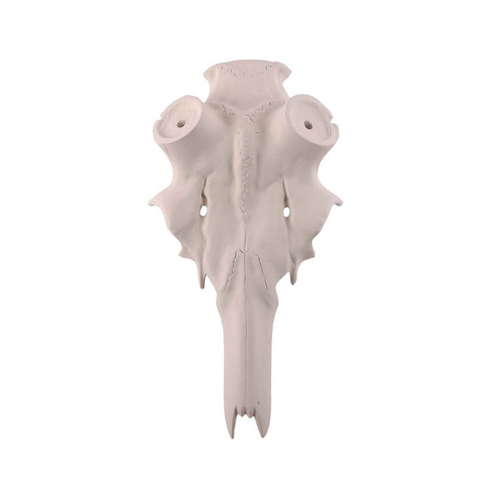 Finto Cranio Cervo Stelo 55mm