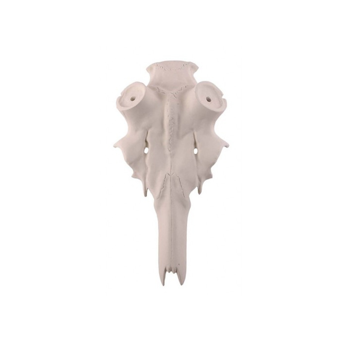 Finto Cranio Cervo Stelo 60mm