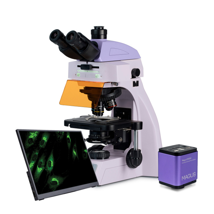MAGUS Microscopio digitale a fluorescenza Lum D450L LCD #83297