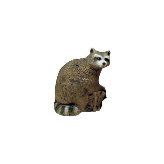 3D Bogenscheibe Waschbär