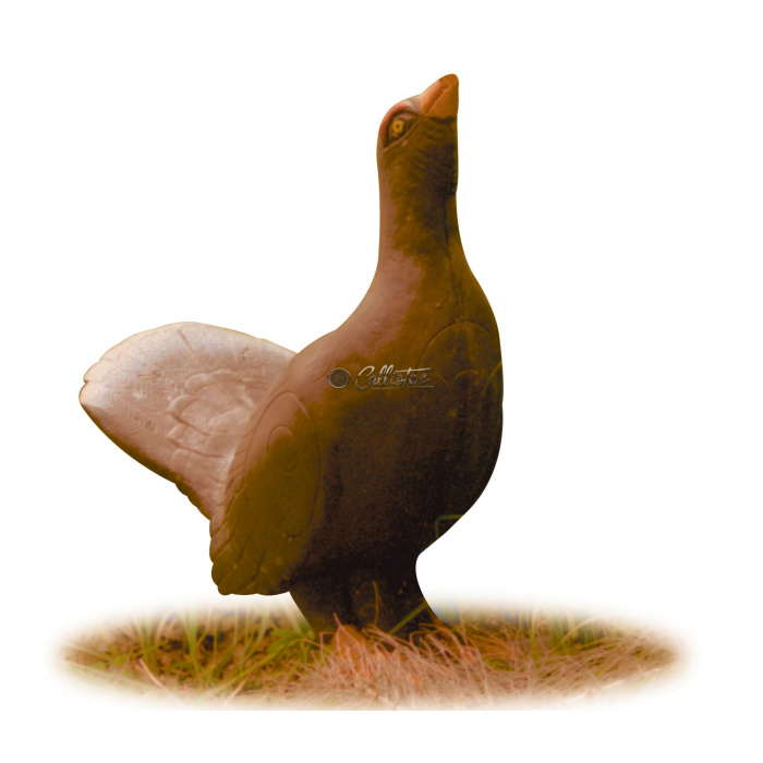 Sagoma per Tiro con Arco 3D Gallo Cedrone