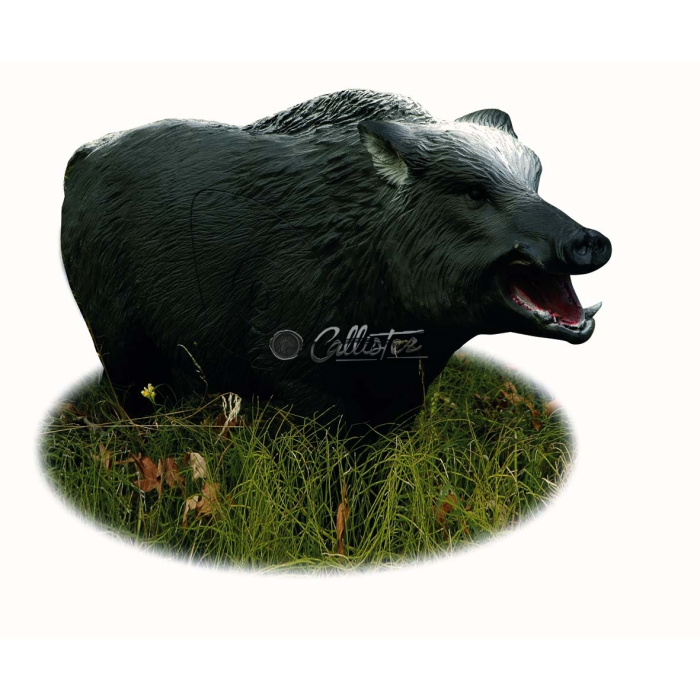 3D Archery Target Boar
