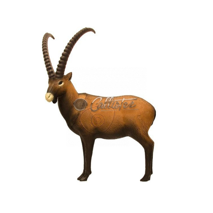 3D Archery Target Ibex