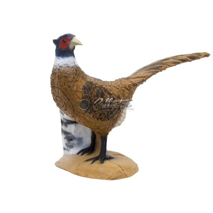 3D Archery Target Shape Pheasant