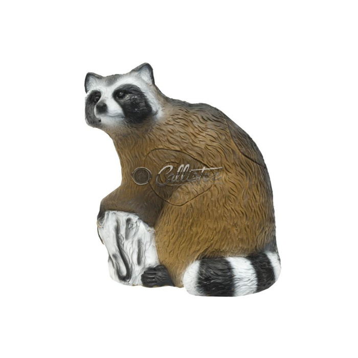 3D Archery Target Racoon