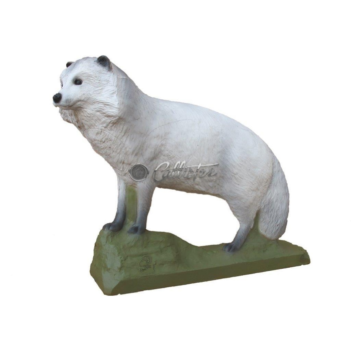 Sagoma per Tiro con Arco 3D Tanuki