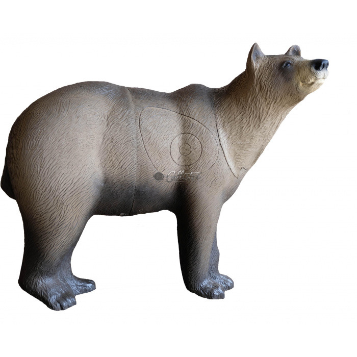 3D Archery Target Shape Marsican Bear