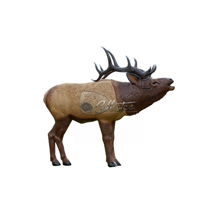 Cible pour Tir à l'Arc 3D 23411 Cerf Am.woodland Échelle 1:3