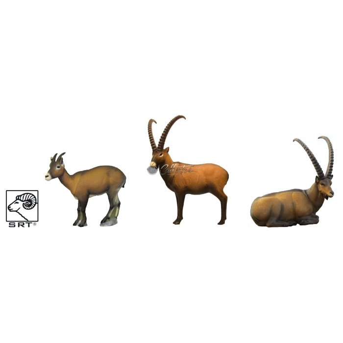 Set of 3D Archery Target Shapes Ibex