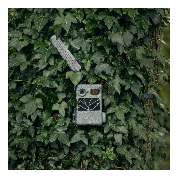 ZEISS Fototrappole Secacam *Gruppo