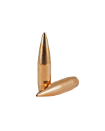 Sellier & Bellot HPBT Geschosse .338" 250gr #2898 (30 Stk)