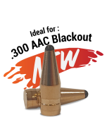 FOX Palle Classic Hunter .30 (.308) .300 AAC Blackout 110gr (50pz)