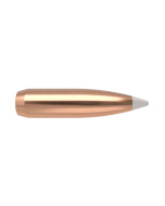 NOSLER Palle AccuBond 308" 180gr SP #54825 (50pz)