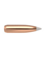 NOSLER Palle AccuBond 277" 130gr SP #54987 (50pz)