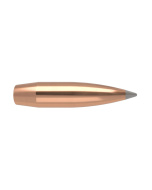 NOSLER AccuBond LR Bullets Long-Range .308" 190gr SP #58456 (100pcs)