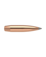 NOSLER AccuBond LR Bullets Long-Range 284" 175gr SP #58517 (100pcs)