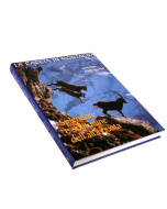 IL LIBRO DELLA CACCIA IN MONTAGNA 1°Edizione