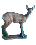 3D Archery Target Buck