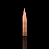 WINDCUT Bullets Tactical Long Range 416" 470gr (50pc)