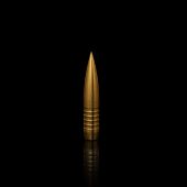 WINDCUT Geschosse Tactical Solid Match Banded 416" 495gr (50St)