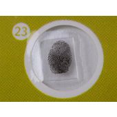 Levenhuk LabZZ P12 Plants Prepared Slides Set