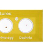 Discovery Fauna 12 Prepared Slides Set