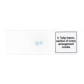 Set di micropreparati Discovery Prof DPS 5. “Biologia”