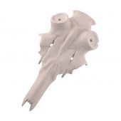 Finto Cranio di Cervo Sintetico per Palchi