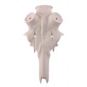 Finto Cranio Cervo Stelo 60mm