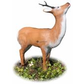 Sagoma per Tiro con Arco 3D Capriolo Che Mangia