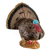 Sagoma per Tiro con Arco 3D 41611 Woodland Strutting Turkey