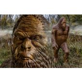 Sagoma per Tiro con Arco 3D 271 Sasquatch