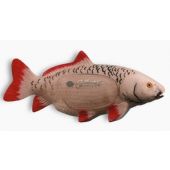 Sagoma per Tiro con Arco 3D 504 Carpa