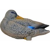 Sagoma per Tiro con Arco 3D Anatra