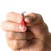 REAL AVID Accu-Grip Picks &amp; Brushes Set di Scalpelli e Spazzoline #AVPBS