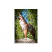 Sagoma per Tiro con Arco 3D Coyote