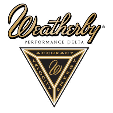 WEATHERBY Bossoli 378 Weatherby Magnum #29511 (20pz)